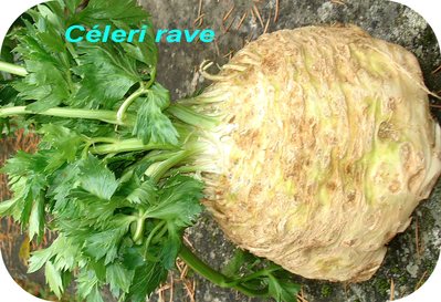 Celeri-rave
