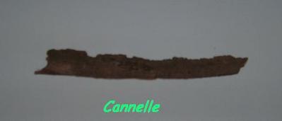 Cannelle -- 18/01/07
