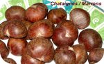 Ch�taigne -- 12/01/08