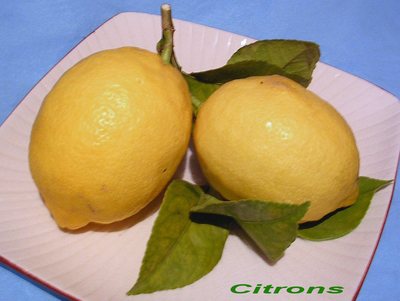 Citron -- 27/12/06