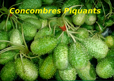 Concombre Piquant