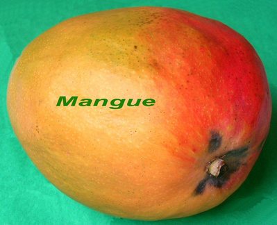 Mangue -- 26/12/06