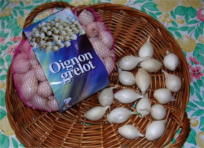 Oignons Grelots -- 18/05/09