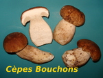 Cèpes - Bouchons -- 02/12/13