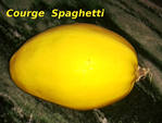 Courge Spaghetti  -- 30/11/14